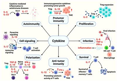 Serum cytokine levels for predicting immune-related adverse events and the clinical response in lung cancer treated with immunotherapy